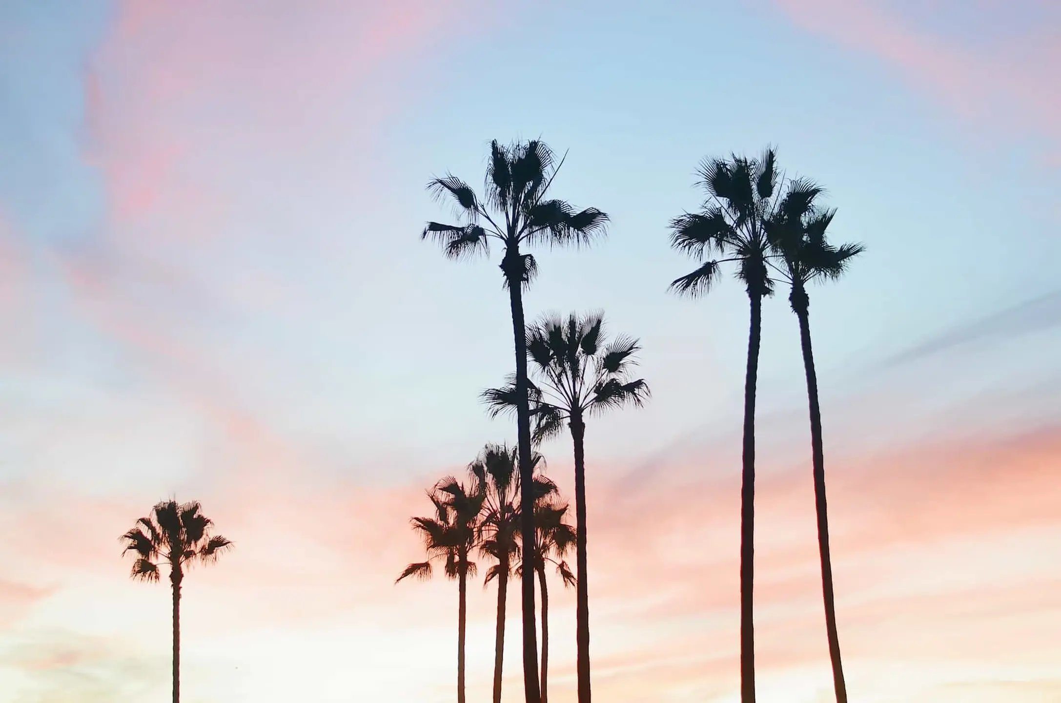 Brandettes cpg consumer products marketing los angeles global.webp